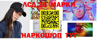СК Обь