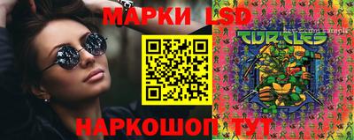 СК Обь