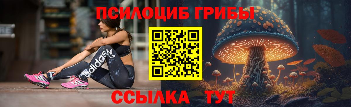 Галлюциногенные грибы GOLDEN TEACHER Сунжа